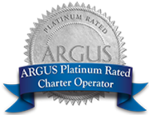ARGUS Platinum logo