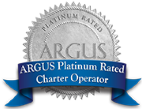 ARGUS Platinum logo